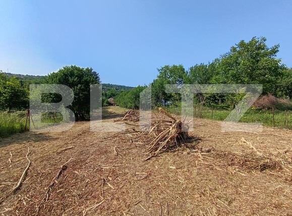 Casa de vânzare 2 camere Aghires - 171864CV | BLITZ Zalău | Poza14