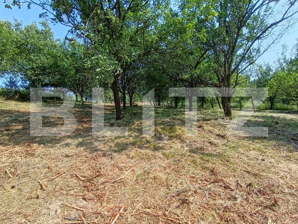 Casa de vânzare 2 camere Aghires - 171864CV | BLITZ Zalău | Poza17