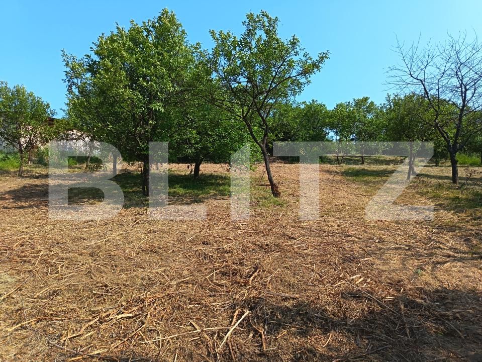 Casa de vânzare 2 camere Aghires - 171864CV | BLITZ Zalău | Poza18