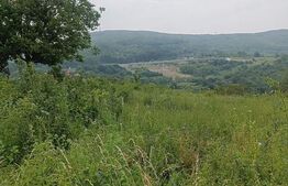 Teren extravilan construibil 2100 mp, front stradal 13.947 si 13.067 ml