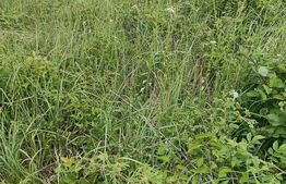 Teren extravilan construibil 2100 mp, front stradal 13.947 si 13.067 ml