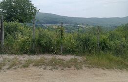 Teren extravilan construibil 2100 mp, front stradal 13.947 si 13.067 ml