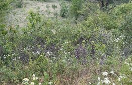 Teren extravilan construibil 2100 mp, front stradal 13.947 si 13.067 ml