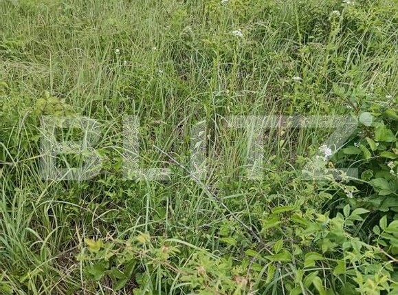 Teren de vânzare Exterior-Sud - 172009TV | BLITZ Zalău | Poza5