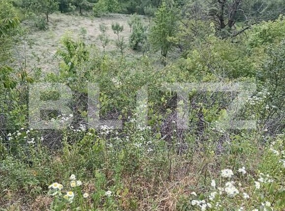 Teren de vânzare Exterior-Sud - 172009TV | BLITZ Zalău | Poza4