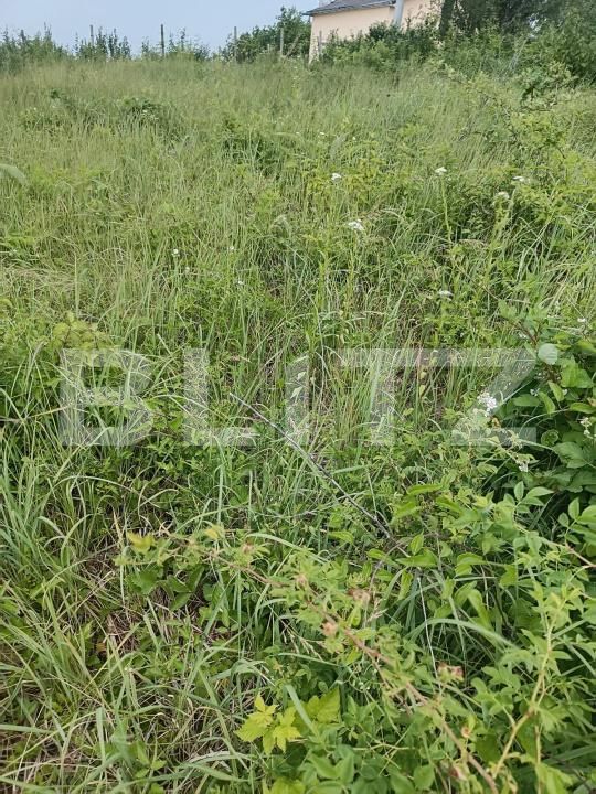 Teren de vânzare Exterior-Sud - 172009TV | BLITZ Zalău | Poza5