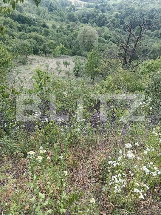 Teren de vânzare Exterior-Sud - 172009TV | BLITZ Zalău | Poza4