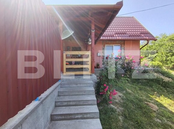 Casa de vânzare 2 camere Exterior-Sud - 172180CV | BLITZ Zalău | Poza2