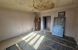 Casa de vanzare Borza