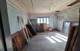 Casa de vanzare Borza