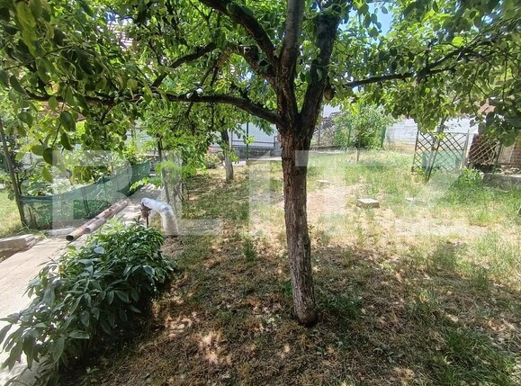 Casa de vânzare 3 camere Central - 172735CV | BLITZ Zalău | Poza12