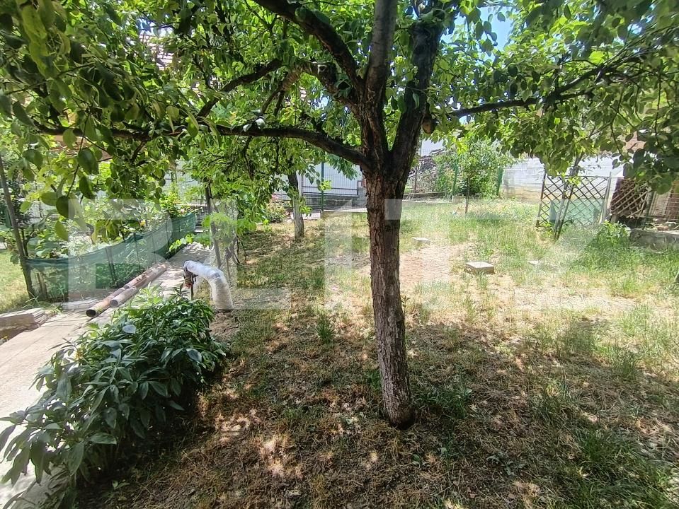 Casa de vânzare 3 camere Central - 172735CV | BLITZ Zalău | Poza6