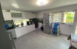 Casa familială în suprafață de 196 mp în localitatea Popeni 