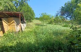 Casa cu 3 camere, în suprafață de 65 mp și teren de 1000 mp, Zalau