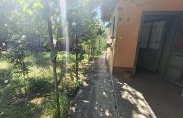 Casa cu 3 camere, în suprafață de 65 mp și teren de 1000 mp, Zalau