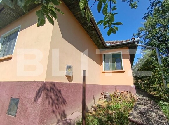 Casa de vânzare 3 camere Central - 172790CV | BLITZ Zalău | Poza1