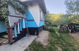 Casa cu 2 camere cu Anexe