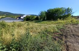 Teren în suprafață de 1100 mp, pe strada Crasnei