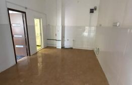 Spatiu comercial de inchiriat, 20 mp, Bulevardul Mihai Viteazul