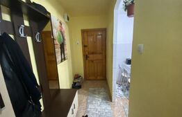 Apartament cu două camere în suprafață utilă de 50 m, zona Dumbrava 2