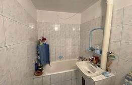 Apartament cu două camere în suprafață utilă de 50 m, zona Dumbrava 2