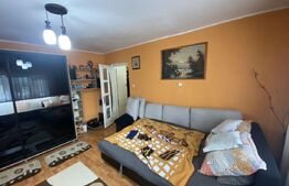 Apartament cu două camere în suprafață utilă de 50 m, zona Dumbrava 2