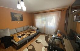 Apartament cu două camere în suprafață utilă de 50 m, zona Dumbrava 2