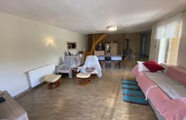 Casa familiala, suprafata de 133 mp, cu gradina de 4700 mp