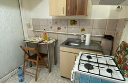 Garsoniera de vanzare Dumbrava 