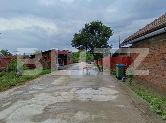 Casa de vânzare 3 camere Jibou - 174210CV | BLITZ Zalău | Poza13