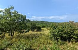 Teren intravilan, de vanzare, 1252 mp, zona Arghires