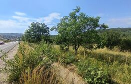 Teren intravilan, de vanzare, 1252 mp, zona Arghires