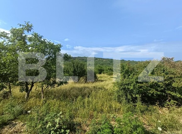 Teren de vânzare Aghires - 174226TV | BLITZ Zalău | Poza1