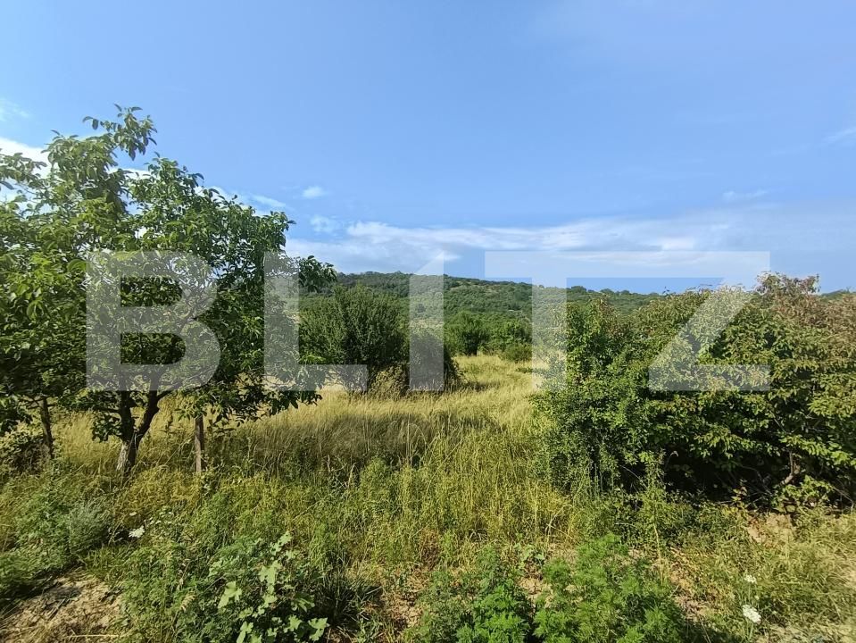 Teren de vânzare Aghires - 174226TV | BLITZ Zalău | Poza1