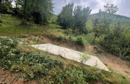 Cabana A Frame, in zona linistita