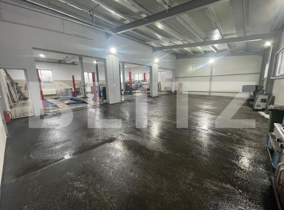 Spațiu industrial de închiriat Aghires - 175014SII | BLITZ Zalău | Poza12
