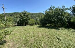 Casă individuală, 2 dormitoare, suprafata de 70 mp si teren 2000 mp