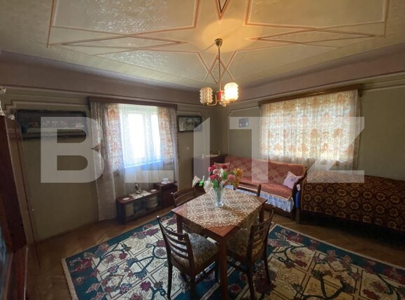 Casa de vânzare 3 camere Prodanesti - 175063CV | BLITZ Zalău | Poza12