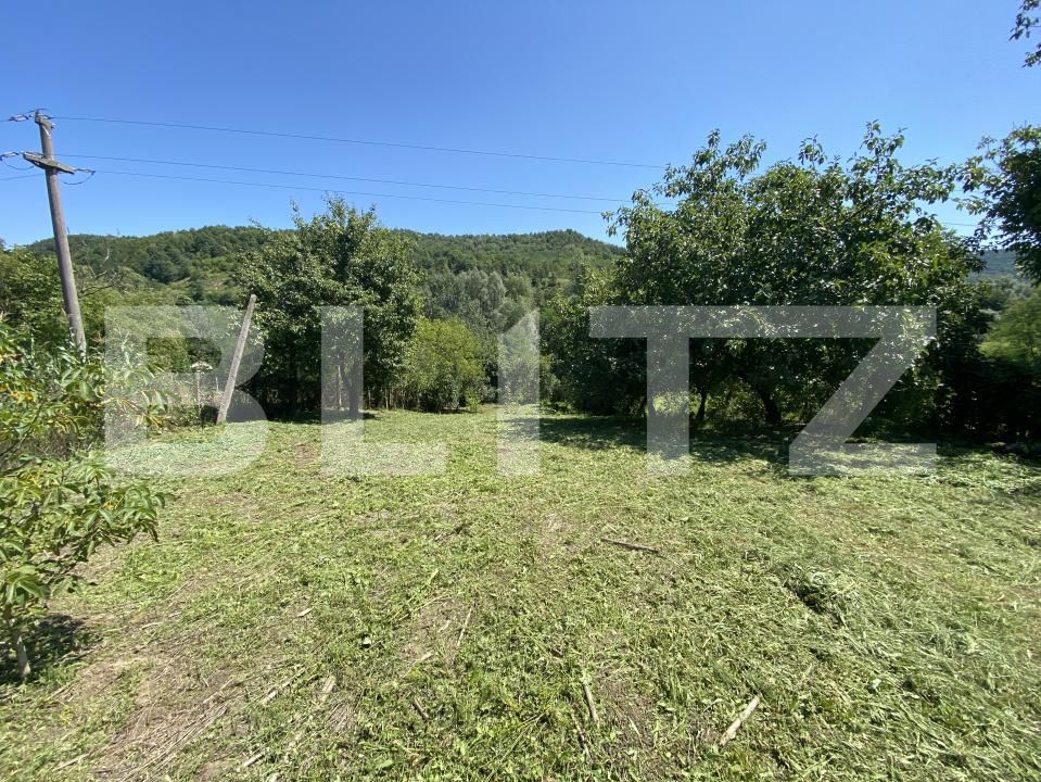 Casa de vânzare 3 camere Prodanesti - 175063CV | BLITZ Zalău | Poza15