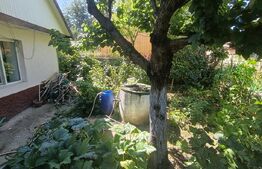 Casa cu 2 camere, baie, bucatarie, anexe și un teren de 300 mp