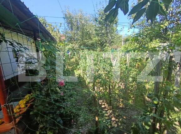 Casa de vânzare 2 camere Central - 175288CV | BLITZ Zalău | Poza10