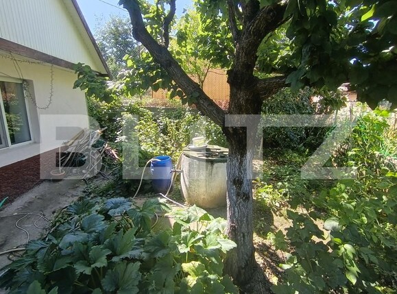 Casa de vânzare 2 camere Central - 175288CV | BLITZ Zalău | Poza13