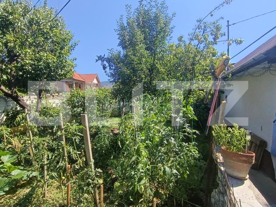 Casa de vânzare 2 camere Central - 175288CV | BLITZ Zalău | Poza14