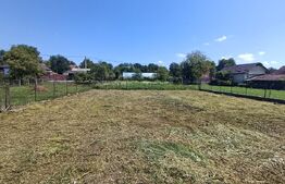 Casa cu 3 camere și o bucatarie de vară și 1300 mp teren și anexe