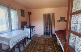 Casa cu 3 camere și o bucatarie de vară și 1300 mp teren și anexe