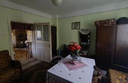 Casa cu 3 camere și o bucatarie de vară și 1300 mp teren și anexe