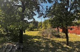 Casa veche cu teren în zona ultracentrală în suprafață de 1263 mp