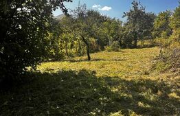 Casa veche cu teren în zona ultracentrală în suprafață de 1263 mp