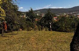 Casa veche cu teren în zona ultracentrală în suprafață de 1263 mp