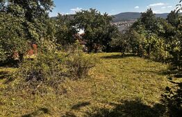 Casa veche cu teren în zona ultracentrală în suprafață de 1263 mp